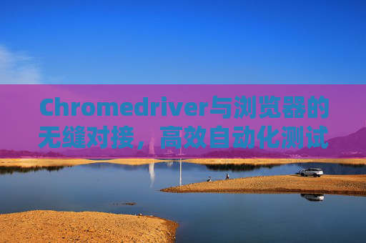 Chromedriver与浏览器的无缝对接，高效自动化测试的利器