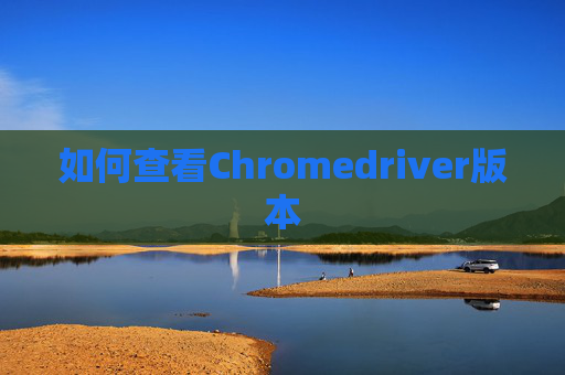 如何查看Chromedriver版本